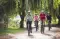 Best Father’s Day Activities in New Zealand